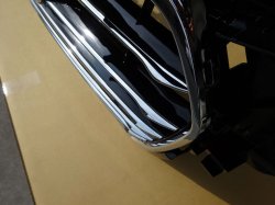 コントラストがきれいです