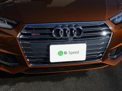 画像1: アウディ純正A4(F4/8W)スポーツ用フロントグリル