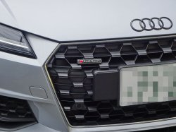 画像1: G-Speed+Audi純正FL後TT(FV)グリル用Audi Sportエンブレム