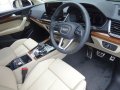 Audi純正Q5/S Q5(FY)用デコラティブパネル