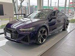 ブラックメタリックポリッシュト