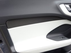 ドア:カーボンツイル