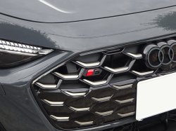 画像13: AudiAG純正A5/S5(FU)用Sロゴ付きブラック/マグネシウムグレーフロントグリル