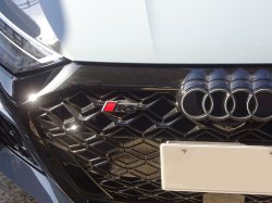 画像3: Audi純正FL後RS 3(GY/8Y)用RSロゴグリルエンブレム