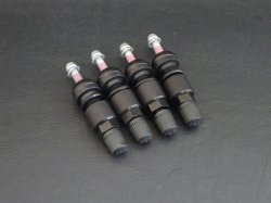 オプション:ブラックバルブ