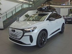 画像2: Audi純正FL後Q4 e-tron(FZ/F4)グリル用2D4Ringsエンブレム
