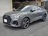 画像: アウディ純正RS Q3用フェンダーアーチ1台分セット