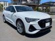 画像7: アウディ純正e-tron SUV/SB用グロスブラックウィンドウモール1台分SET