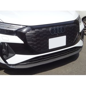 画像: Audi純正Q4(FZ/F4)用ブラックフロントグリル