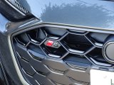 画像: アウディ純正S5(FU)用Sロゴ付きフロントグリル